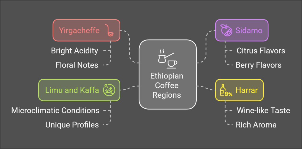 Ethiopia’s Coffee Regions: Sidamo, Harrar, and Limu