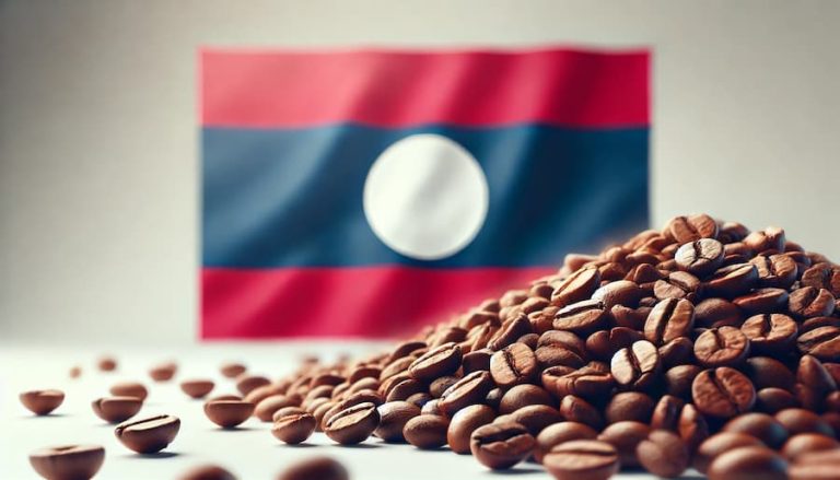 Laos Coffee Industry